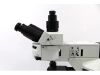 OLYMPUS BX46F Microscope