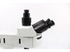 OLYMPUS BX46F Microscope