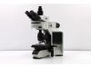 OLYMPUS BX46F Microscope
