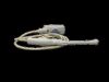 GE 2297883 Ultrasound Transducer