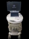 GE VOLUSON E10 ADVANCED 4D ULTRASOUND MACHINE