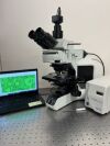 OLYMPUS BX43 Microscope
