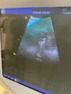 GE HEALTHCARE 4C Ultrasound Transducer