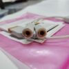 GE 2016998-001 GE 2016998-001 0.5M DUAL TEMP CABLE  Monitor