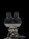 WESCO  Microscope