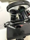 WESCO  Microscope