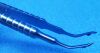 MILLENNIUM 4/21/2025 12:00:00 AM Forceps