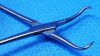 GLOBUS 6179.2004 Forceps