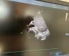 GE HEALTHCARE M5Sc-D Ultrasound Transducer