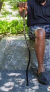 SPORTCANE Cane Stress Test