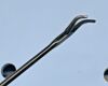 PILLING 509202 Ossoff-Karlan Grasping Forceps 1mm Serrated Curved Right Ebonized