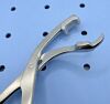 DEPUY 816299011 Bone Holding Forceps