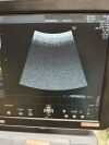 GE Voluson P8