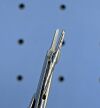 WECK 511-134 Bulldog Forceps