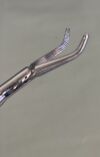 PILLING 211245A Teleflex   -  LANDRENEAU LAWRENCE FINE DISSECTING FORCEPS