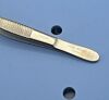 STORZ 156000 Karl   Lucae Ear Dressing Forceps, Serrated, 14cm Length