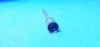 MEDTRONIC MIDAS REX MR8-AS14 Attachement
