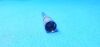 MEDTRONIC MR8-AS09 Attachment