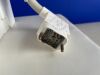 SIEMENS 7577732 Head Matrix Coil MRI Scanner