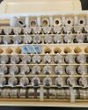 NATOLI TDP 6s Tablet Press Tooling Kit Pharmaceutical Packaging