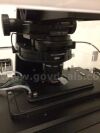 NIKON TI2-E Microscope