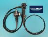 OLYMPUS GIF-Q180 Gastroscope