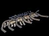 OMNI-TRACT Various 32 PIECE RETRACTOR SYSTEM @