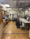 PHILIPS ALLURA XPER FD 20 Cath Angio Lab