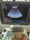 MINDRAY 4CD4 Ultrasound Transducer