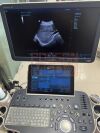 MINDRAY C5-1U Ultrasound Transducer