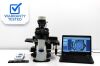 OLYMPUS CKX53 Microscope