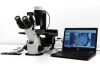 OLYMPUS CKX53 Microscope