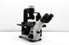 OLYMPUS CKX53 Microscope