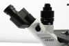 OLYMPUS CKX53 Microscope