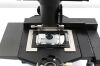 OLYMPUS CKX53 Microscope
