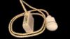 ATL 3D 7-4 CURVED ARRAY Ultrasound Transducer