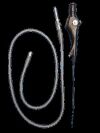 COGENTIX MEDICAL INC. 07-3060 Endoscope