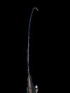 COGENTIX MEDICAL INC. 07-3060 Endoscope