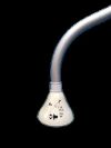 OHMEDA 6600-0845-800 Photapy Lamp