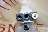 WESCO  Microscope