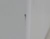 SHIMADZU Prominence CTO-20AC Column Oven - 204518 Oven - Lab