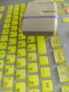 TOSHIBA PLQ-1203A Ultrasound Transducer