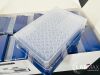 THOMAS SCIENTIFIC 1158R49 30uL Universal Pipette Tips Filter 30 UL 10 Rack