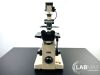 NIKON DIAPHOT Microscope