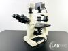 VWR VistaVision Epifluorescent Inverted Microscope