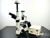ACCU-SCOPE 3032 Microscope