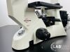 ACCU-SCOPE 3032 Microscope