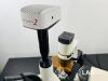 ACCU-SCOPE 3032 Microscope
