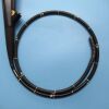 OLYMPUS GIF-H290 Endoscope