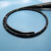 OLYMPUS GIF-H290 Endoscope